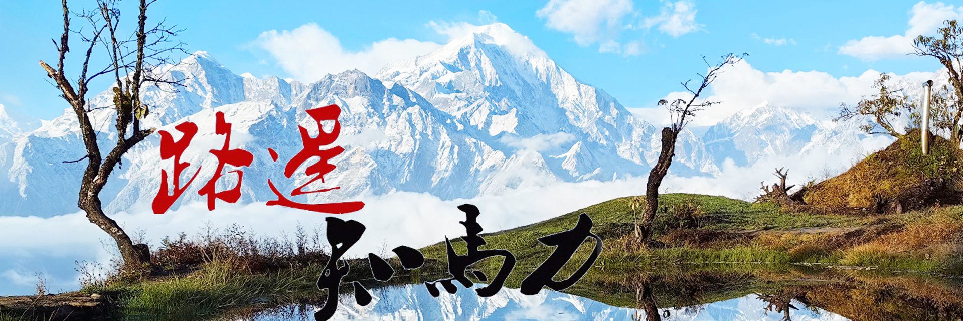 华人策略hrceluebbs